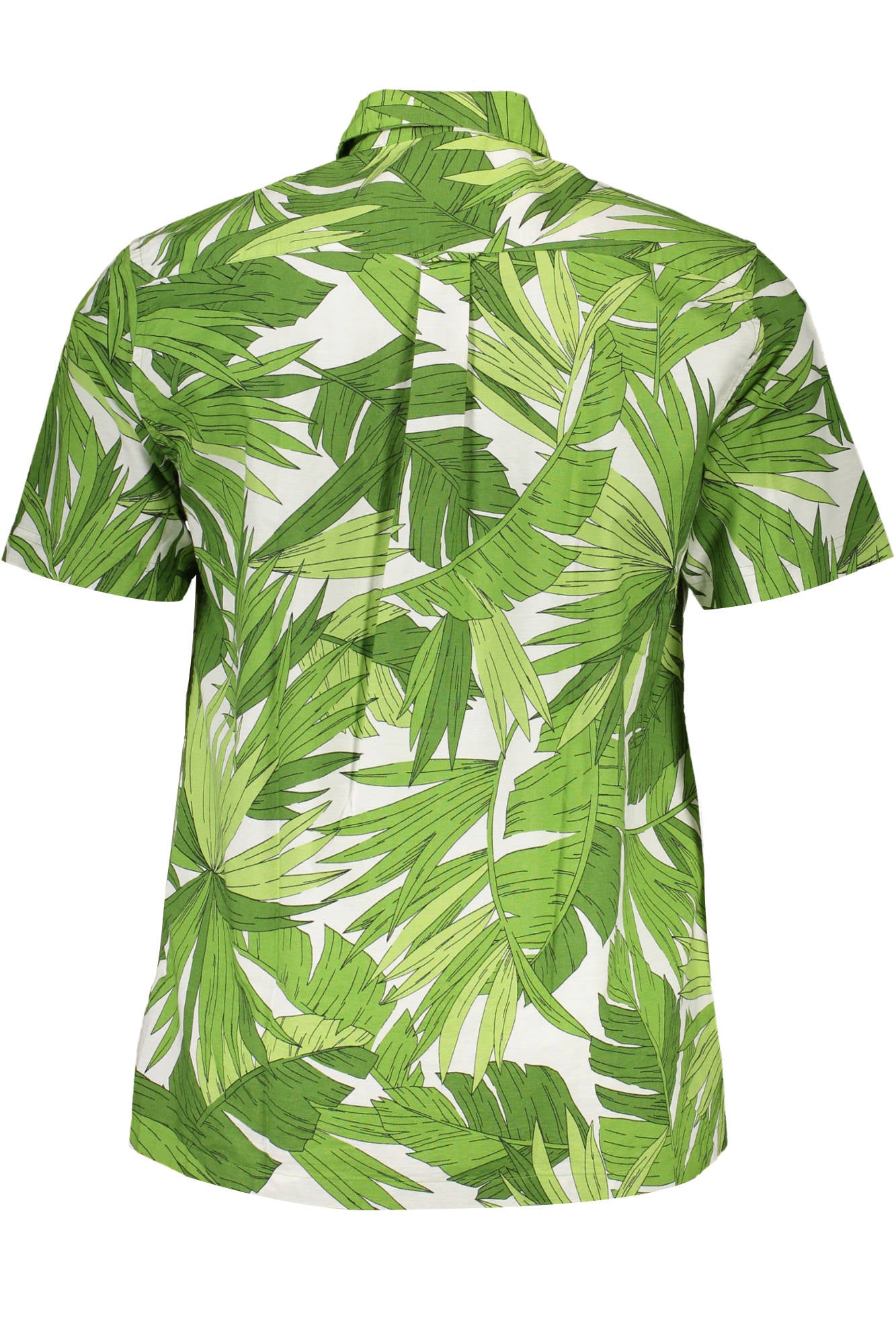 GANT CAMICIA MANICHE CORTE UOMO VERDE